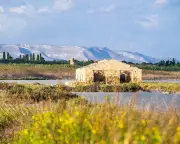 Vendicari Nature Reserve: A Haven for Flamingos and Lemon Groves in Sicily