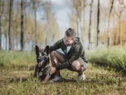 Vet Issues Urgent Warning to Dog Owners About Adder Bites in June