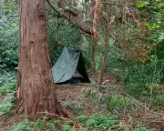Visually Impaired Students Find Peace in Woodland Den Building