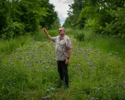 Wakelyns Agroforestry Farm Needs £1.2m to Secure Future