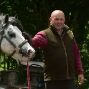 Wales' gypsy horse king jailed for possessing horse feed in breach of ban