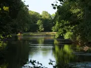 Walton Hall Park: Liverpool's Unheralded Gem of a Green Space