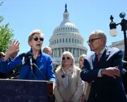Warren Warns Trump-Era Mega Mergers Could Be Undone by 2028