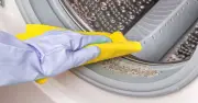 Washing Machine Mildew Hack with Lemon and Toothpaste