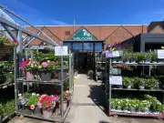 Waterloo Garden Centre with Charming Café Near Beach Visit