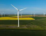 Weakening UK Net Zero Policy Would Damage Economy, Climate Adviser Warns