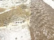 Welsh Beach Visitor Mistook Algal Bloom for Sewage, NRW Says