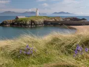 Welsh Beach Where Forest Meets Sea Named UK's Most Beautiful