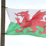 Welsh flag row: Campaigners demand removal from Wrexham lampposts
