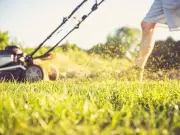 Welsh Gardeners Warned: Avoid Morning Mowing to Prevent Clumpy Grass