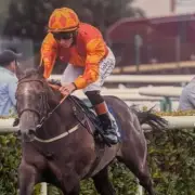 Welsh Horse Exclamation Takes on Royal Ascot Giants Again