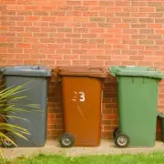 Welsh households urged to line wheelie bins with cardboard to stop flies