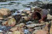 Welsh Water to Pay £44.7m Over Sewage Spills After Failures