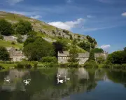 Wharfedale Wildlife Memories and Toilet Handedness Letters