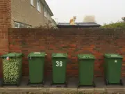 Wheelie Bin Expert Reveals Cardboard Trick to Deter Flies and Maggots