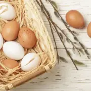 White vs Brown Eggs: Experts Unanimous on the Real Difference