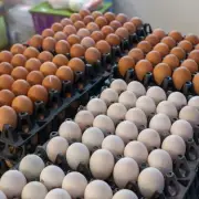 White vs Brown Eggs: Sainsbury's Leads Return to White Eggs in UK