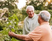 Why listening to gardeners talk sounds like eavesdropping on art thieves