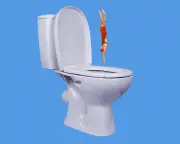 Why You Always Need to Pee When Swimming: Immersion Diuresis Explained