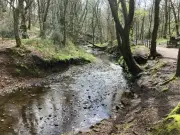 Wigan Council Pledges £3m for Flood Defence Scheme in Three Towns