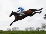 Willie Mullins' Champion Jumper Un De Sceaux Dies in Paddock Accident at 18
