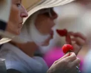 Wimbledon 2025: Strawberries, Protests, and Tennis Amidst Tradition