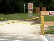 Woman, 31, dies after 13ft alligator rips off arm in Florida attack