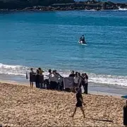 Woman Critically Injured in Shark Attack off Sydney's Coogee Beach