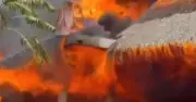 Woman Dies in Dominican Republic Resort Fire, 1,700 Evacuated