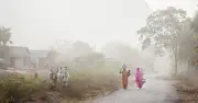 Woman Gang Raped by 5 Men, Wood and Bullet Inserted in Horrific Attack