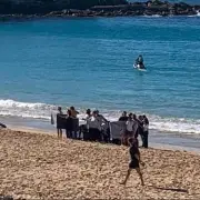 Woman in 30s Attacked by Shark While Swimming at Sydney's Coogee Beach