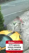 Woman Kicks Man's £75k McLaren on Driveway in Random Attack
