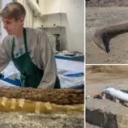 Woolly Mammoth Butchered by Humans 25,000 Years Ago, Study Suggests