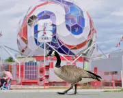World Cup Week: Hope, Memes, and Dreams Before the Action Begins