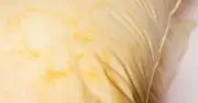 Yellow Duvets and Pillows Whitened with Baking Soda and Dish Soap