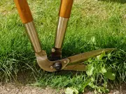 Young Mum Gets Free Garden Tidy After £600 Quote, Stranger Steps In