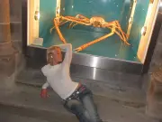 Zara Larsson's Bizarre Manchester Stop: Poses with Giant Spider Crab