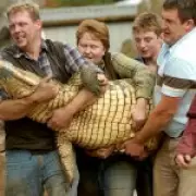 Zookeeper Jumps into Crocodile Pit to Save Boy, 3, Thrown In