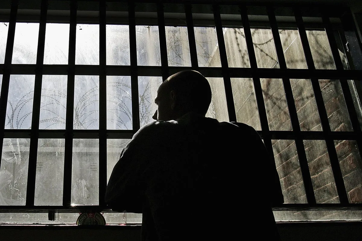 Government Plan to Tackle IPP Scandal Will Fail, Prison Documents Show