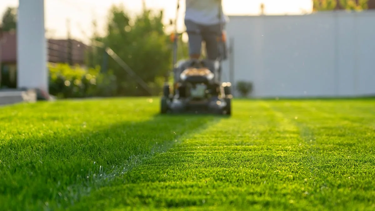 Three-Step Guide to a Perfect Lawn This Summer