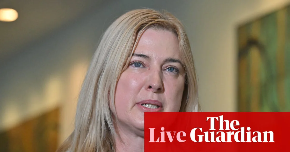 AEC to Investigate Labor MP Ali France Over Enrolment