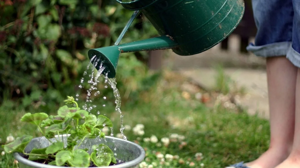 Alan Titchmarsh Warns Gardeners Against Common Watering Mistake