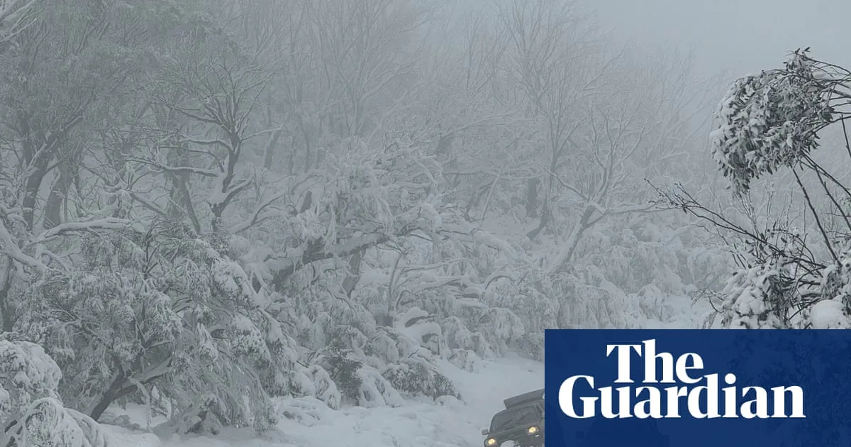 Dozens Rescued After Heavy Snow Traps Motorists and Hikers in Australian Alps