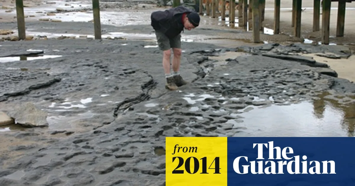 850,000-Year-Old Human Footprints Unearthed in Norfolk