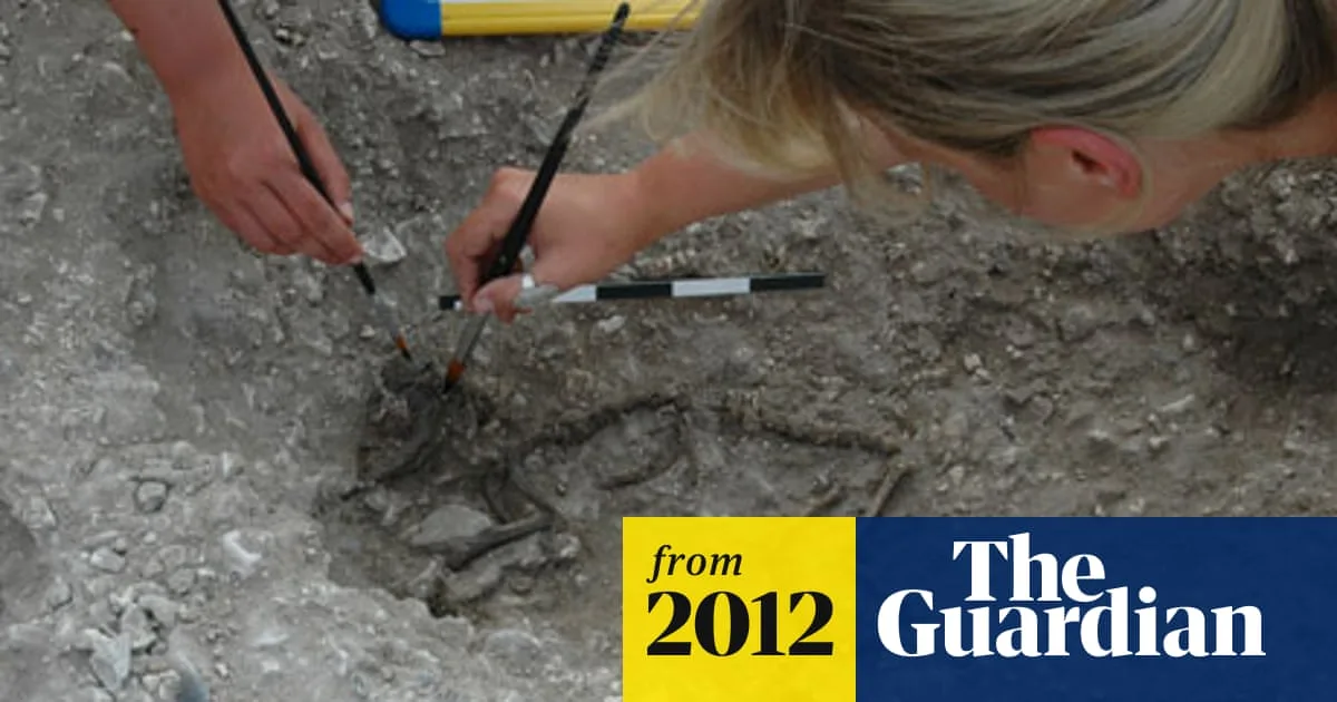 Silchester Dig Reveals Sophisticated Pre-Roman Lifestyle