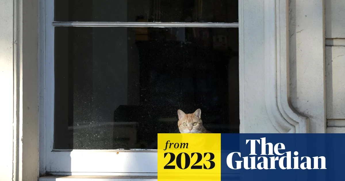Australian Zoologist Demands Total Cat Ban To Save Wildlife