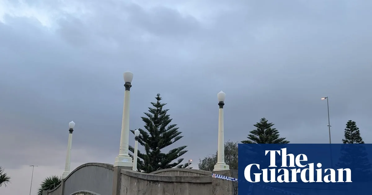 National Firearms Register Delay May Have Hindered Bondi Attack Prevention, Expert Says