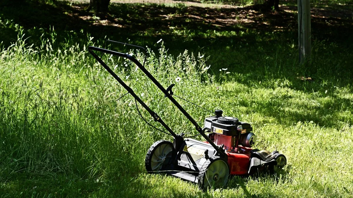 Don't Mow Your Lawn This Bank Holiday Weekend, Expert Warns