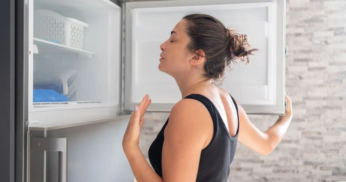 Food Safety Warning for UK Heatwave: Chill Leftovers Within Two Hours