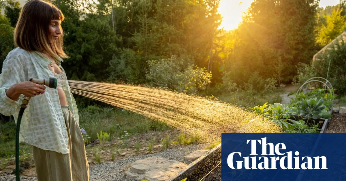 Best Time To Water Plants During UK Heatwave